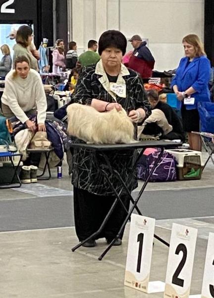 Прикрепленное изображение: -5449378935671476706_121.jpg